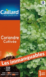 Graines Coriandre cultivée