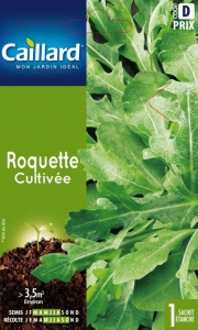 Graines Roquette cultivée