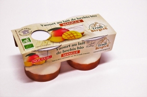 Yaourt Brebis bio Mangue x2