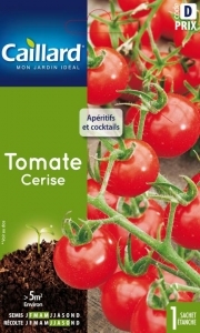 Graines Tomate cerise