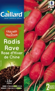 Graines Radis rave rose d'hiver de Chine