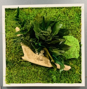Cadre avec plantes stabilisées 